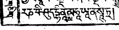 Screen shot of material added to a Tibetan text